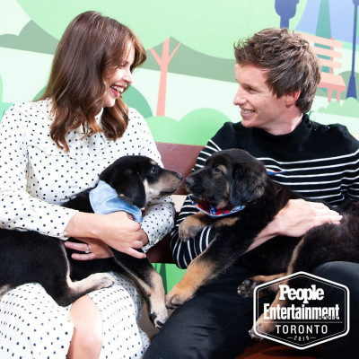 TIFF2019 || Actors with Puppies