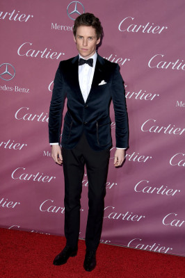 Eddie Redmayne pic #784552