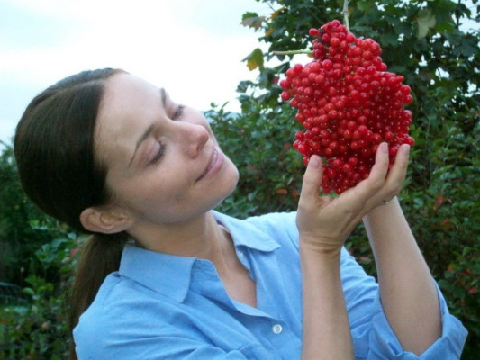 Ekaterina Guseva pic #489252