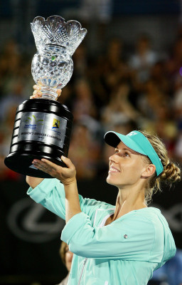 Elena Dementieva pic #235574