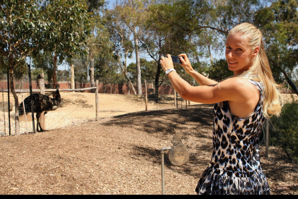 Elena Dementieva pic #204281