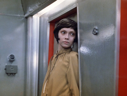 Елена Метелкина