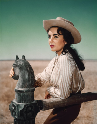 Elizabeth Taylor pic #440138