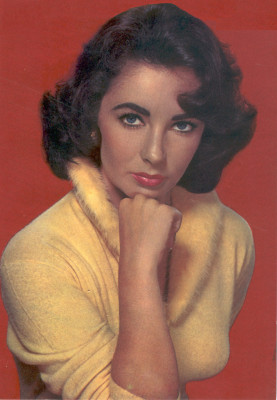 photo 3 in Elizabeth Taylor gallery [id139542] 2009-03-10 00:00:00