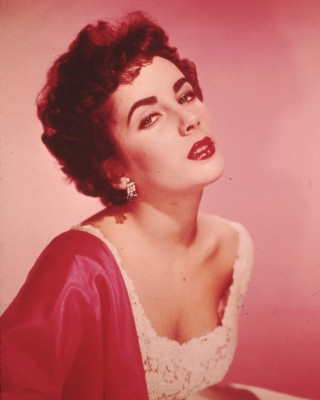 photo 5 in Elizabeth Taylor gallery [id389843] 2011-04-29 00:00:00