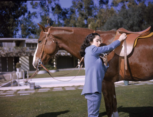 photo 3 in Elizabeth Taylor gallery [id272239] 2010-06-16 00:00:00