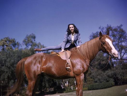 photo 4 in Elizabeth Taylor gallery [id272238] 2010-06-16 00:00:00