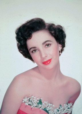 photo 27 in Elizabeth Taylor gallery [id449527] 2011-12-27 00:00:00