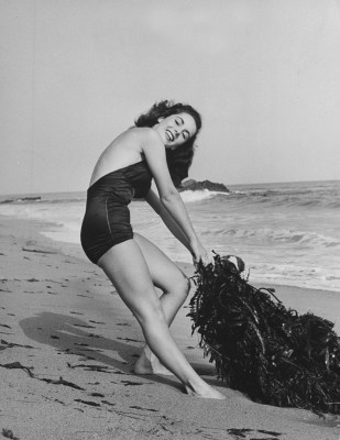 photo 19 in Elizabeth Taylor gallery [id440626] 2011-11-28 00:00:00