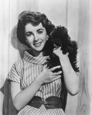 photo 9 in Elizabeth Taylor gallery [id602063] 2013-02-01 00:00:00