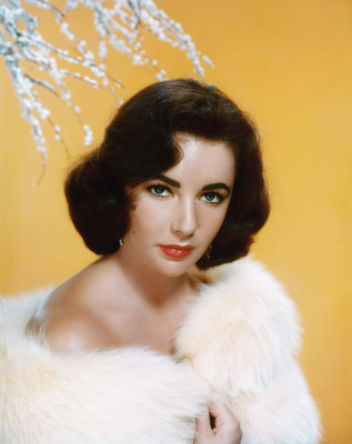 Elizabeth Taylor pic #443289