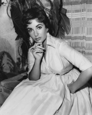 photo 24 in Elizabeth Taylor gallery [id602047] 2013-02-01 00:00:00