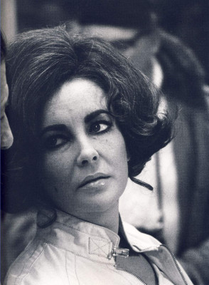 photo 10 in Elizabeth Taylor gallery [id272463] 2010-06-16 00:00:00