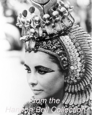 photo 8 in Elizabeth Taylor gallery [id85848] -0001-11-30 00:00:00
