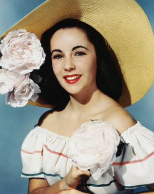 photo 27 in Elizabeth Taylor gallery [id442043] 2011-12-01 00:00:00