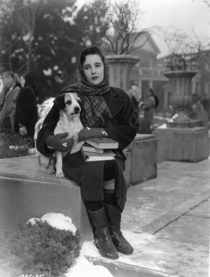 photo 9 in Elizabeth Taylor gallery [id442061] 2011-12-01 00:00:00