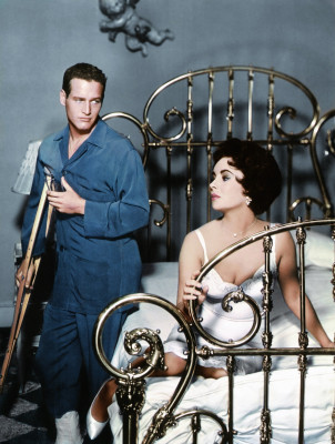 photo 6 in Elizabeth Taylor gallery [id436519] 2011-11-17 00:00:00