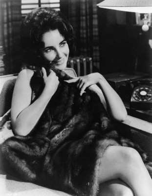 Elizabeth Taylor pic #436441