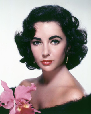 photo 27 in Elizabeth Taylor gallery [id438284] 2011-11-21 00:00:00