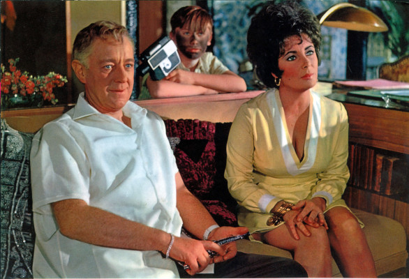 photo 14 in Elizabeth Taylor gallery [id438766] 2011-11-22 00:00:00