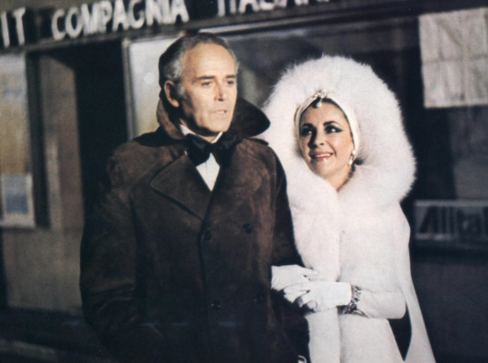 photo 24 in Elizabeth Taylor gallery [id438786] 2011-11-22 00:00:00