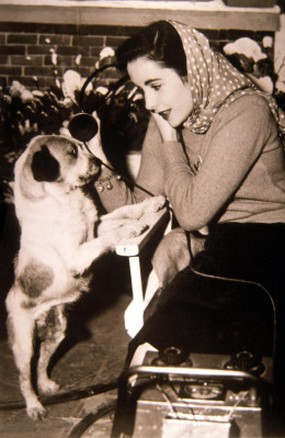 photo 20 in Elizabeth Taylor gallery [id438790] 2011-11-22 00:00:00