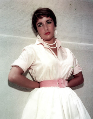 photo 6 in Elizabeth Taylor gallery [id602066] 2013-02-01 00:00:00