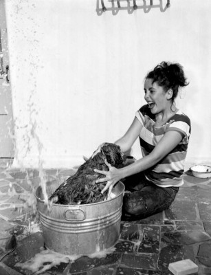 photo 19 in Elizabeth Taylor gallery [id72230] -0001-11-30 00:00:00