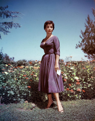 photo 21 in Elizabeth Taylor gallery [id137141] 2009-02-24 00:00:00