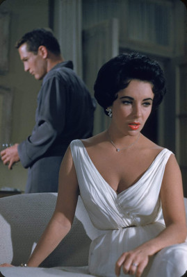 photo 14 in Elizabeth Taylor gallery [id268507] 2010-06-02 00:00:00