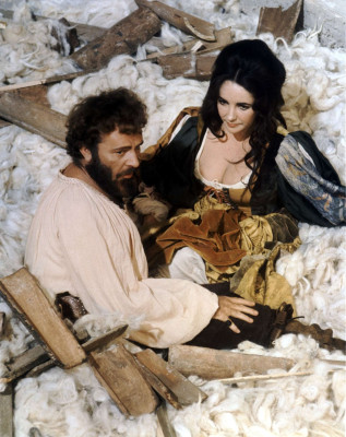 photo 26 in Elizabeth Taylor gallery [id511812] 2012-05-15 00:00:00