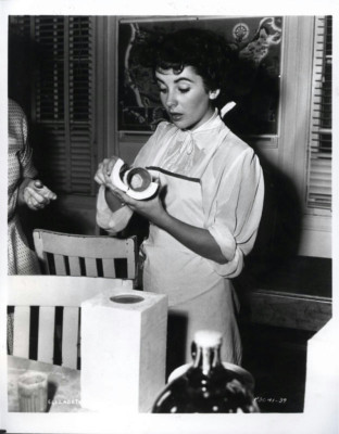 photo 7 in Elizabeth Taylor gallery [id396669] 2011-05-23 00:00:00