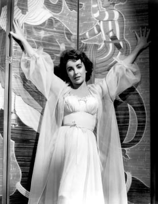 photo 24 in Elizabeth Taylor gallery [id388201] 2011-04-25 00:00:00