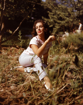 photo 19 in Elizabeth Taylor gallery [id394796] 2011-05-17 00:00:00