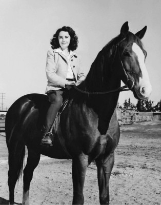photo 5 in Elizabeth Taylor gallery [id398086] 2011-05-27 00:00:00
