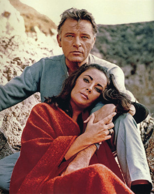 photo 18 in Elizabeth Taylor gallery [id504501] 2012-04-30 00:00:00