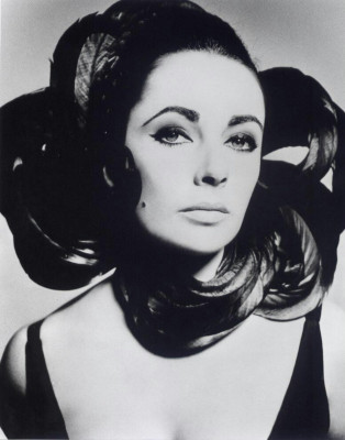 photo 13 in Elizabeth Taylor gallery [id376550] 2011-03-24 00:00:00