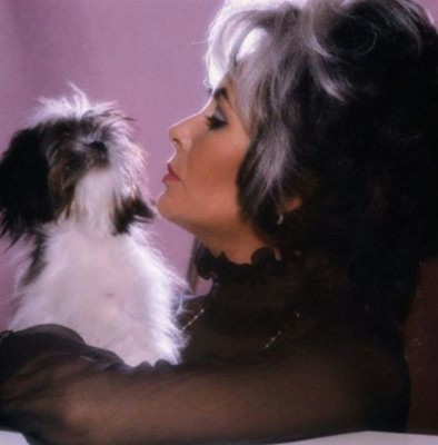photo 7 in Elizabeth Taylor gallery [id379042] 2011-03-30 00:00:00