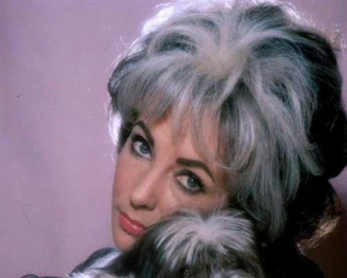 Elizabeth Taylor pic #380421