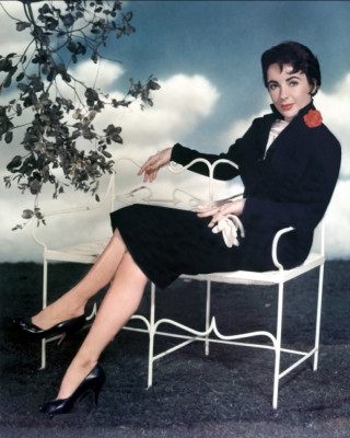 photo 9 in Elizabeth Taylor gallery [id384229] 2011-04-14 00:00:00