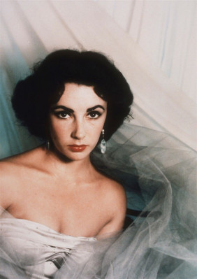 Elizabeth Taylor pic #449523