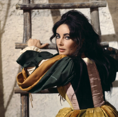 photo 27 in Elizabeth Taylor gallery [id393524] 2011-05-12 00:00:00