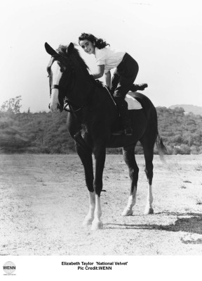 photo 16 in Elizabeth Taylor gallery [id251712] 2010-03-23 00:00:00