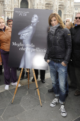 Elisabetta Canalis pic #441720