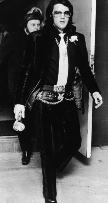 photo 13 in Presley gallery [id364300] 2011-02-25 00:00:00