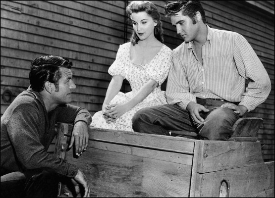 photo 22 in Presley gallery [id102688] 2008-07-07 00:00:00