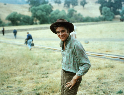 photo 8 in Elvis gallery [id268505] 2010-06-02 00:00:00