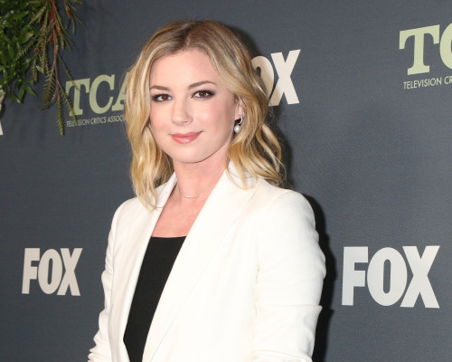 Emily VanCamp - TCA Winter Press Tour in Los Angeles 02/06/2019