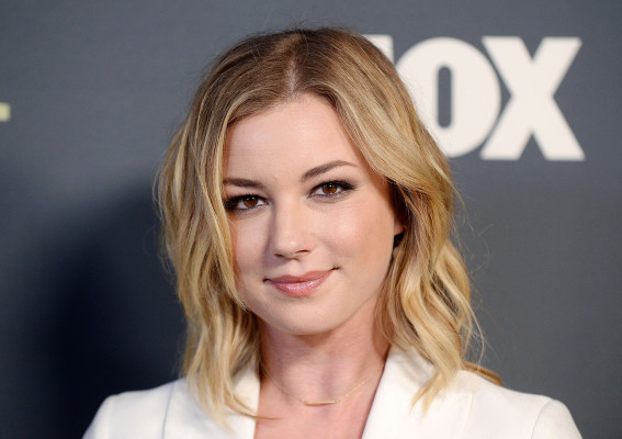 Emily VanCamp - TCA Winter Press Tour in Los Angeles 02/06/2019