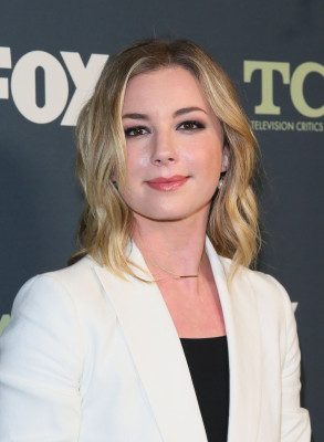 Emily VanCamp - TCA Winter Press Tour in Los Angeles 02/06/2019